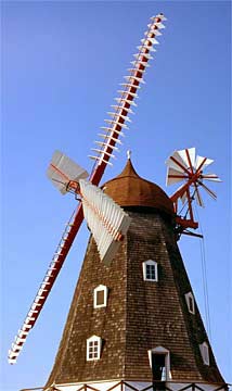Impressive-Windmill-241