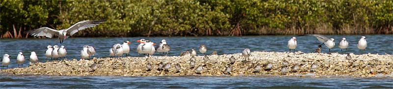 s-Oyster-Bar-Peers_0775