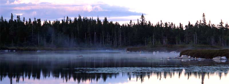 r-Dawn-On-Lilly-Pond-160