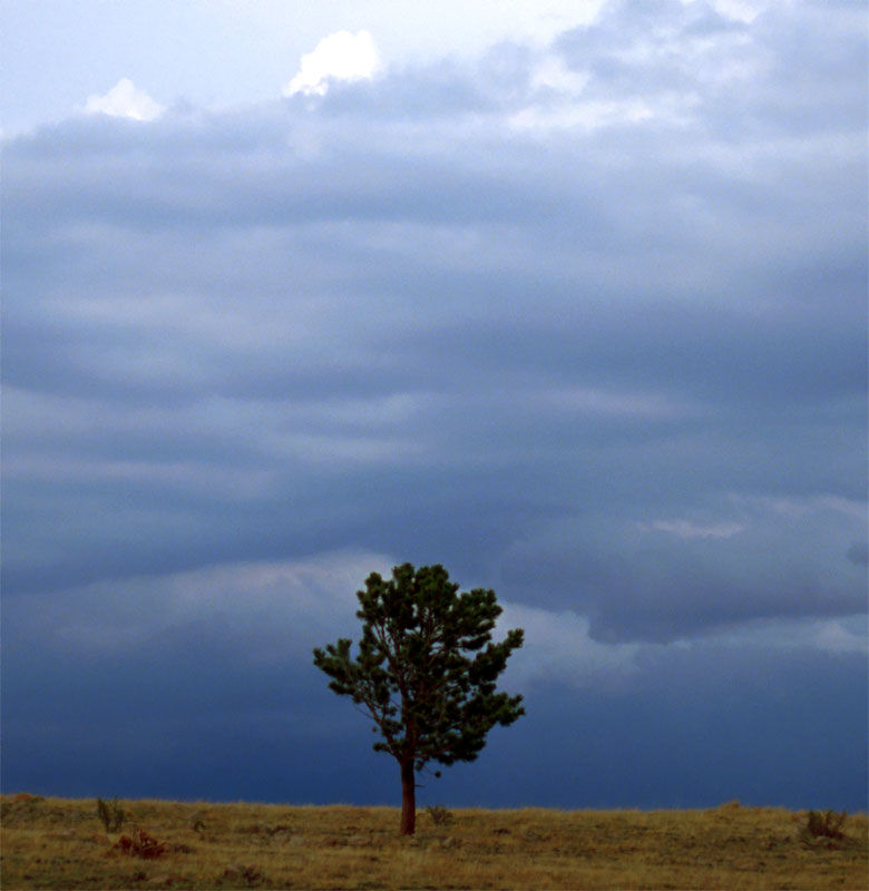 m-Big-Sky-Tree-187